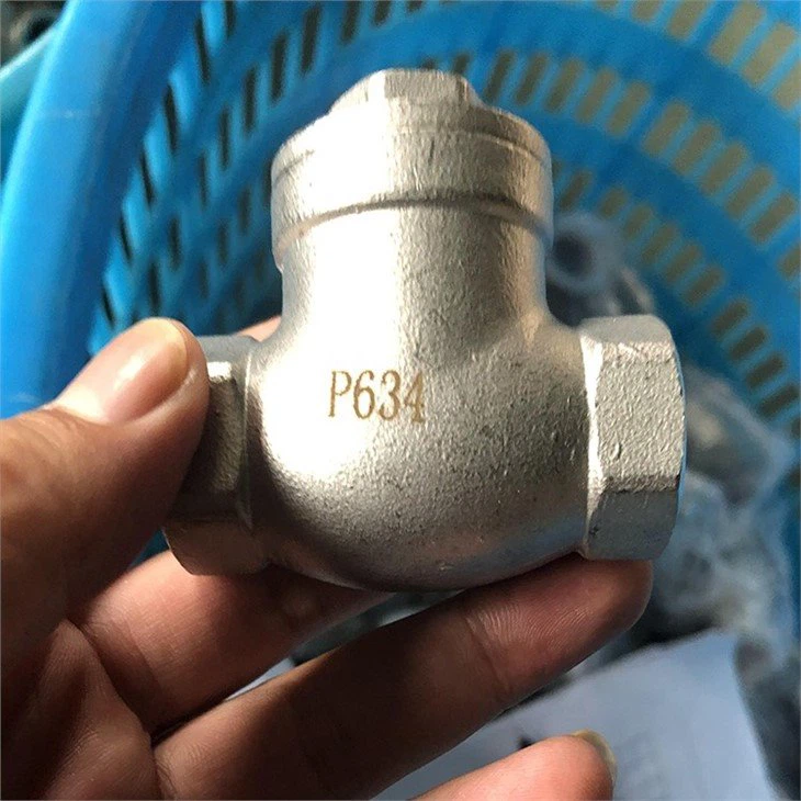 Swing Check Valve 304